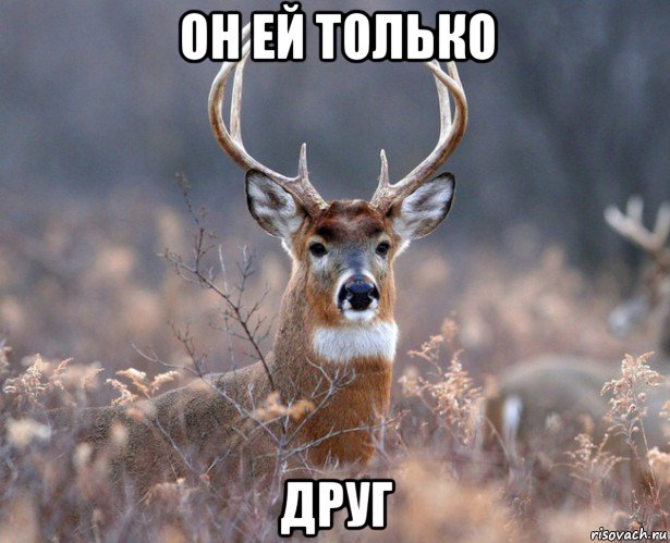 он ей только друг