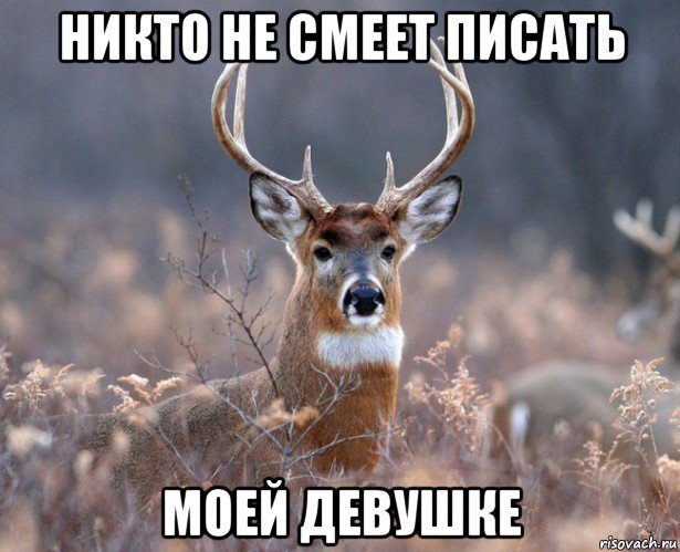 никто не смеет писать моей девушке