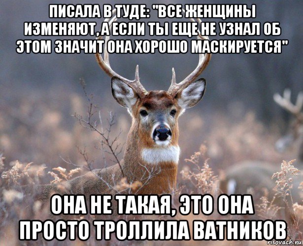 писала в туде: "все женщины изменяют, а если ты еще не узнал об этом значит она хорошо маскируется" она не такая, это она просто троллила ватников