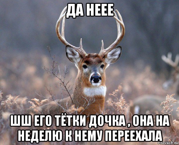 да неее шш его тётки дочка , она на неделю к нему переехала