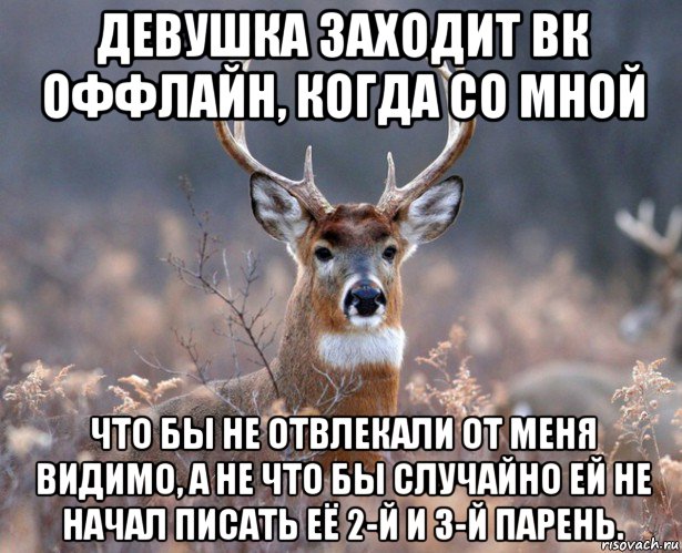 девушка заходит вк оффлайн, когда со мной что бы не отвлекали от меня видимо, а не что бы случайно ей не начал писать её 2-й и 3-й парень.