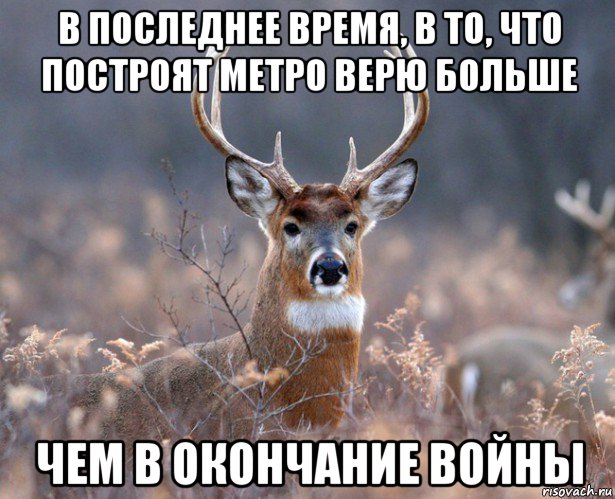 в последнее время, в то, что построят метро верю больше чем в окончание войны