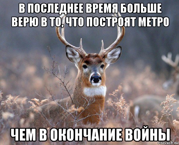 в последнее время больше верю в то, что построят метро чем в окончание войны