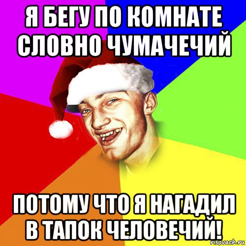 я бегу по комнате словно чумачечий потому что я нагадил в тапок человечий!, Мем Новогоднй Чоткий Едк