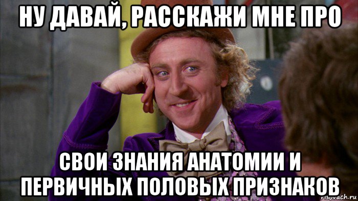 ну давай, расскажи мне про свои знания анатомии и первичных половых признаков, Мем Ну давай расскажи (Вилли Вонка)