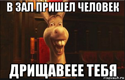 Приходи в зал. Когда пришла в зал. Пришла зарплата?осел из Шрека. Мем тебе какая разница осёл.