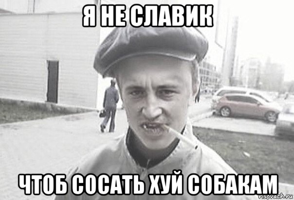 я не славик чтоб сосать хуй собакам