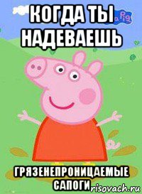 когда ты надеваешь грязенепроницаемые сапоги, Мем  Peppa