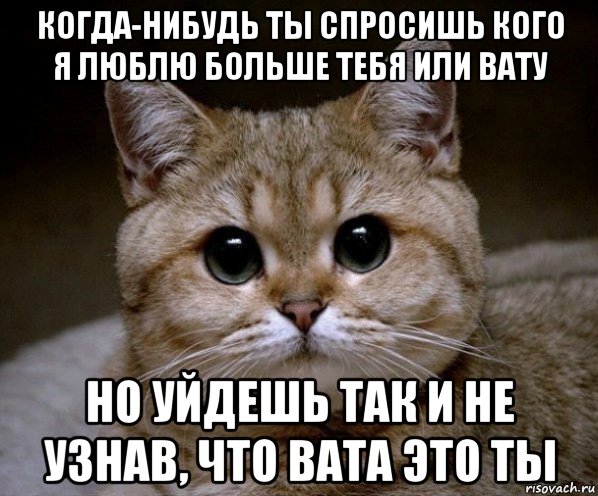 Спроси что нибудь. Ты спросишь кого я люблю больше. Ты спросишь кого я люблю больше тебя или. Кого я люблю больше тебя или. Когда нибудь ты меня спросишь что я люблю больше тебя или.