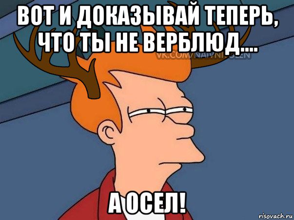 вот и доказывай теперь, что ты не верблюд.... а осел!, Мем  Подозрительный олень