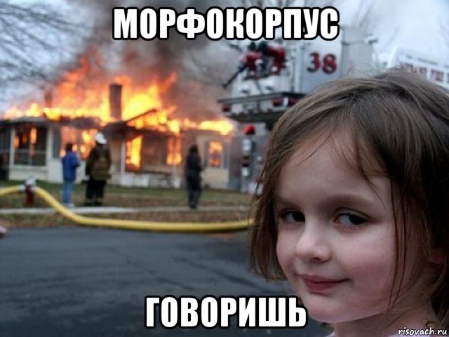 морфокорпус говоришь, Мем Поджигательница