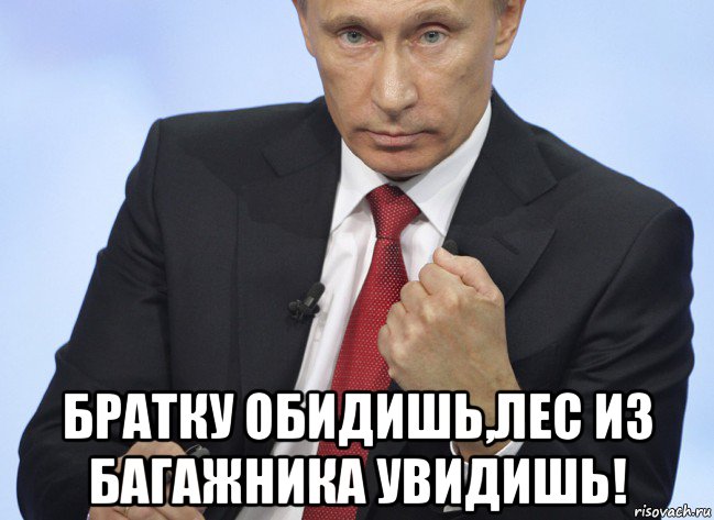 Обидевший обидевший продолжишь продолжишь. Обидишь лес из багажника. Мемы про Путина.