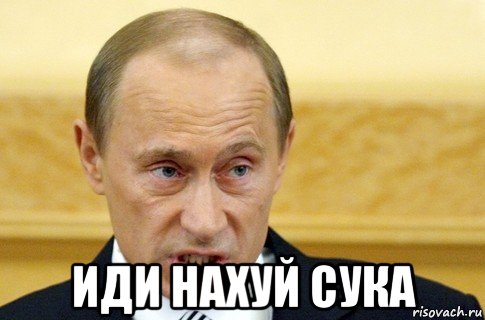  иди нахуй сука, Мем путин