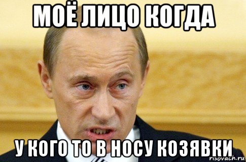 моё лицо когда у кого то в носу козявки, Мем путин