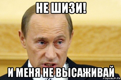 не шизи! и меня не высаживай, Мем путин