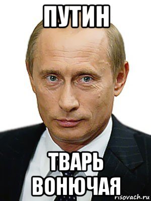 Ты тварь фото