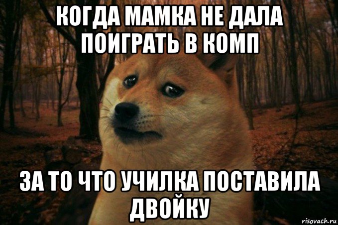 когда мамка не дала поиграть в комп за то что училка поставила двойку, Мем SAD DOGE