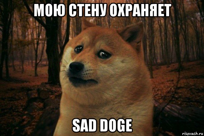 мою стену охраняет sad doge, Мем SAD DOGE