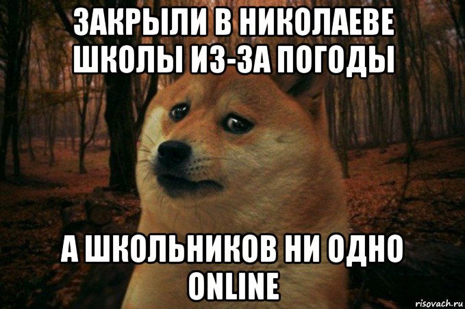 Жалкая роль. Мизантроп. Я мизантроп. Мизантроп Мем. Мизантроп кто это простыми словами.