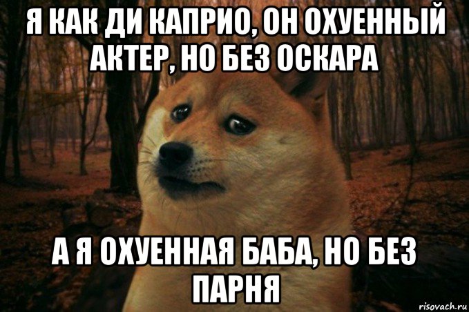 я как ди каприо, он охуенный актер, но без оскара а я охуенная баба, но без парня, Мем SAD DOGE