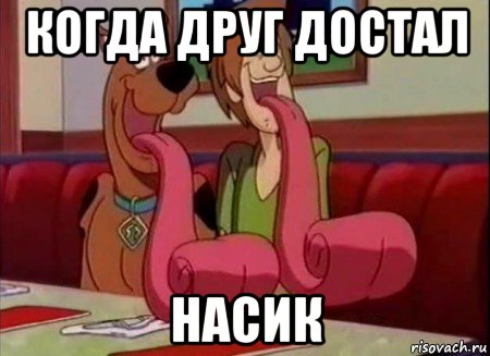 когда друг достал насик, Мем Скуби ду