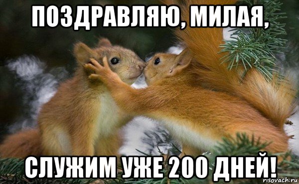 200 дней до дембеля картинки