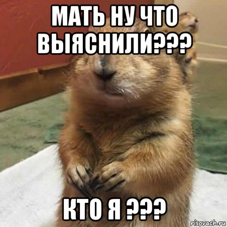 мать ну что выяснили??? кто я ???, Мем Суслик спрашивает