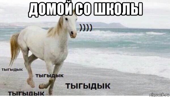 домой со школы , Мем   Тыгыдык