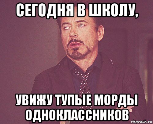 сегодня в школу, увижу тупые морды одноклассников, Мем твое выражение лица