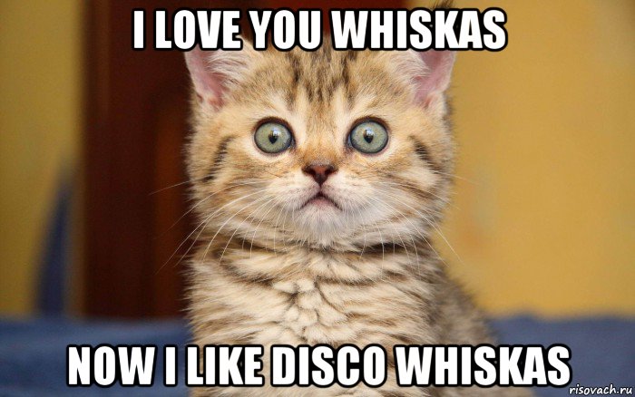 i love you whiskas now i like disco whiskas, Мем  удивление