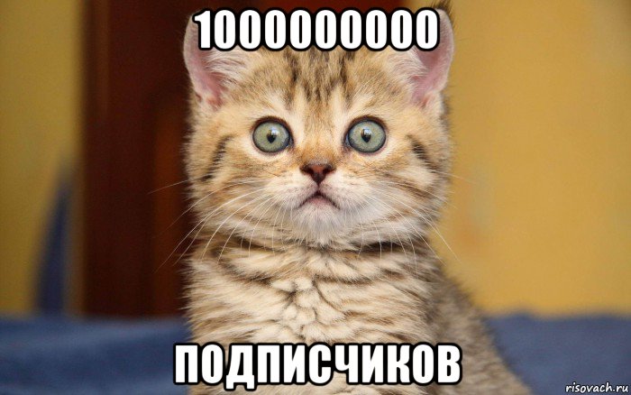 1000000000 подписчиков, Мем  удивление