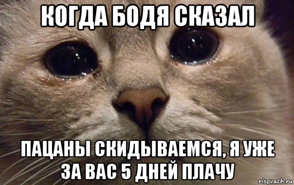 когда бодя сказал пацаны скидываемся, я уже за вас 5 дней плачу, Мем   В мире грустит один котик