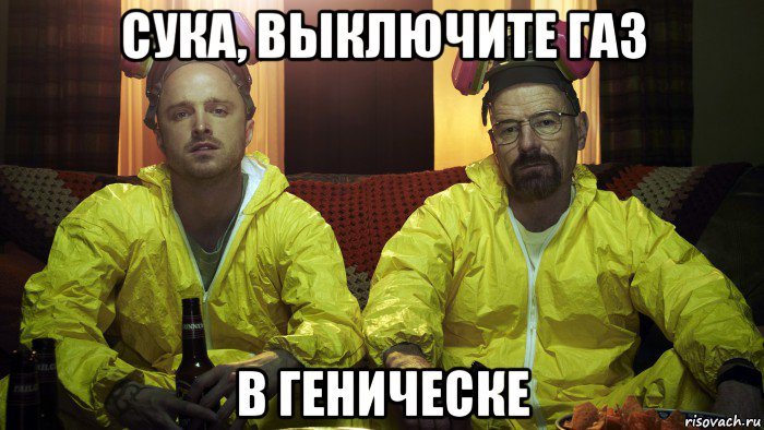 сука, выключите газ в геническе