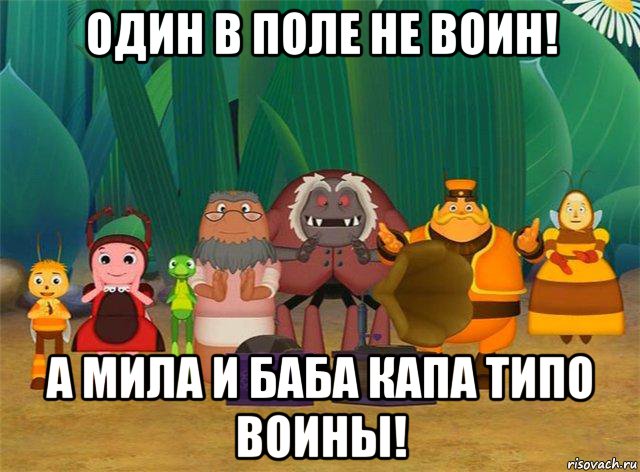 Не поли хату. Баба Капа мемы. Один в поле не воин. Воин Мем. Приколы про бабу Капу.