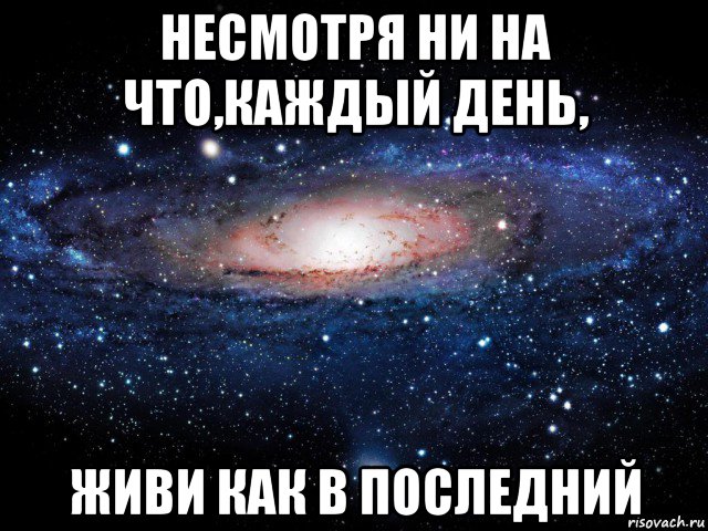 Люблю несмотря ни на что картинки