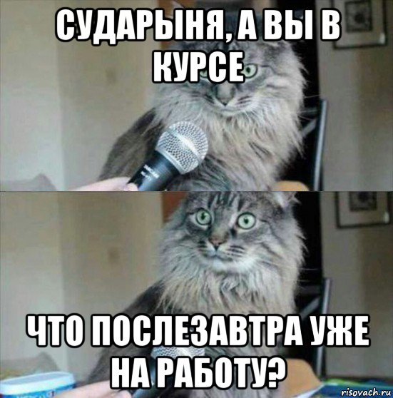 Вы здесь работать не будете