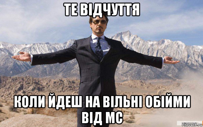 те відчуття коли йдеш на вільні обійми від мс, Мем железный человек