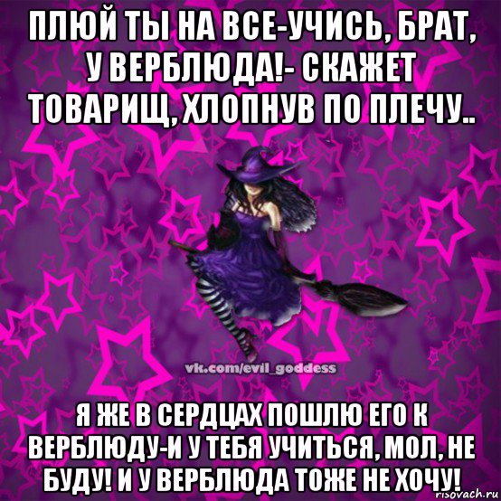 плюй ты на все-учись, брат, у верблюда!- скажет товарищ, хлопнув по плечу.. я же в сердцах пошлю его к верблюду-и у тебя учиться, мол, не буду! и у верблюда тоже не хочу!, Мем Зла Богиня