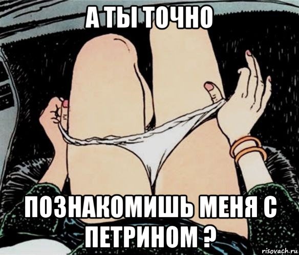 а ты точно познакомишь меня с петрином ?, Мем А ты точно