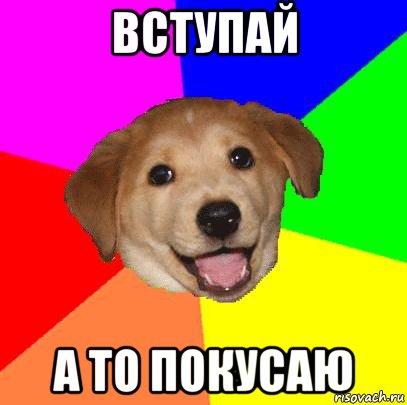 вступай а то покусаю, Мем Advice Dog