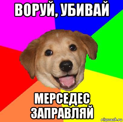 воруй, убивай мерседес заправляй, Мем Advice Dog