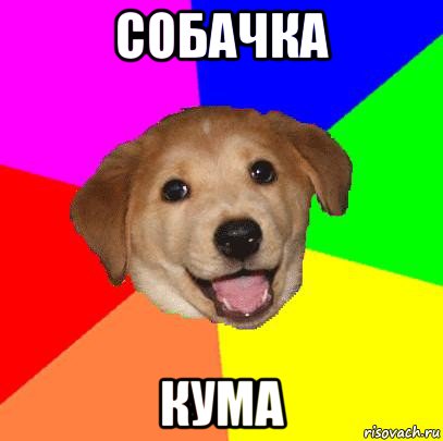 собачка кума, Мем Advice Dog