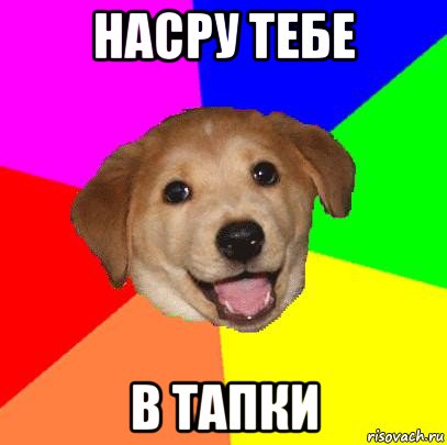 насру тебе в тапки, Мем Advice Dog