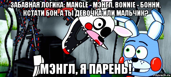 Мальчик бони. Той Бонни мальчик или девочка. Бонни Мем. Смешной Бонни. Бон Бон Мем.