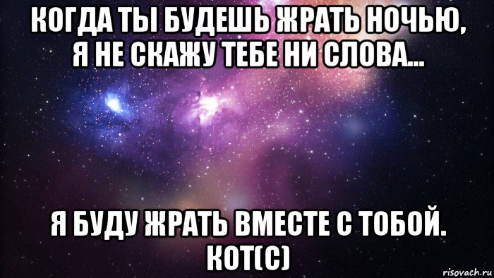 когда ты будешь жрать ночью, я не скажу тебе ни слова... я буду жрать вместе с тобой. кот(с), Мем  быть Лерой