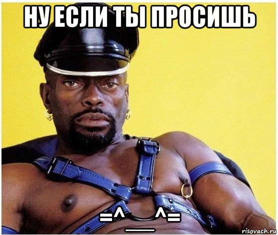 ну если ты просишь =^__^=, Мем Черный властелин