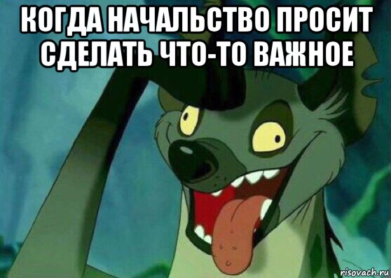 Просит вставить