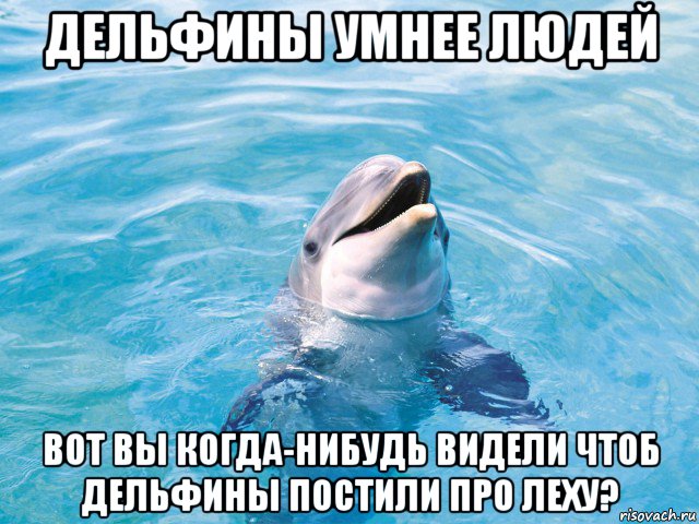 дельфины умнее людей вот вы когда-нибудь видели чтоб дельфины постили про леху?, Мем Дельфин