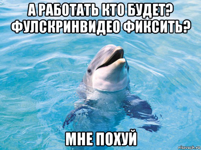 а работать кто будет? фулскринвидео фиксить? мне похуй, Мем Дельфин