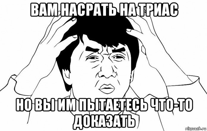 вам насрать на триас но вы им пытаетесь что-то доказать, Мем ДЖЕКИ ЧАН